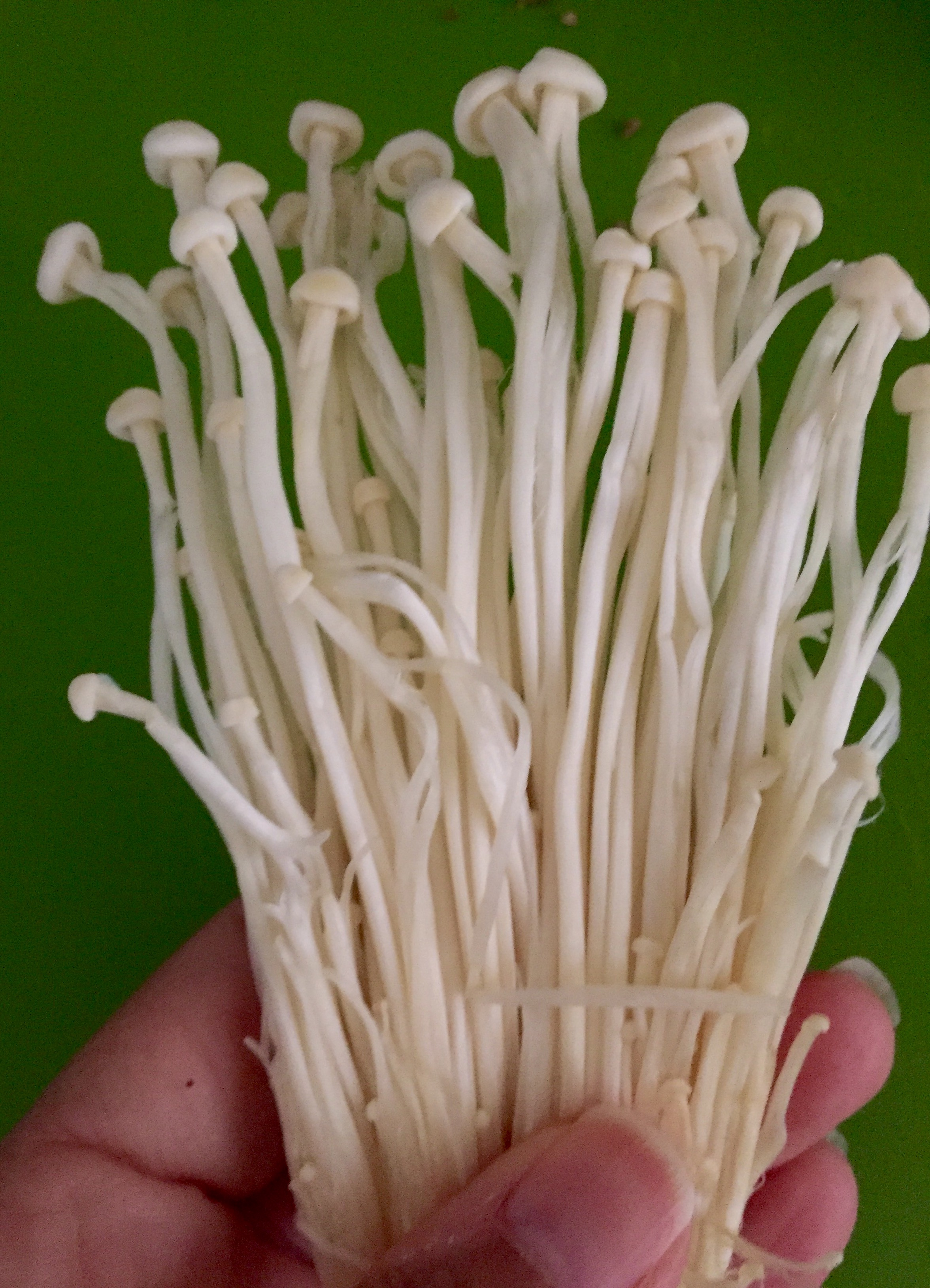 enoki-mushrooms-jean-oshima